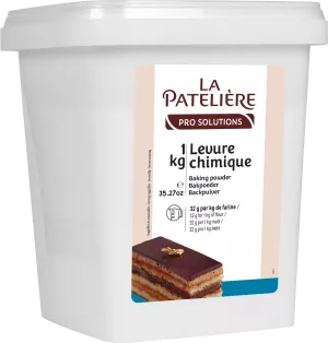 化学酵母 1kg - LA PATELIERE