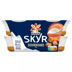 S0 Ypl Skyr S Auto 120gx4 - YOPLAIT
