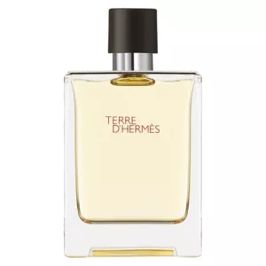 Terre d'Hermès eau de toilette 100 ml - HERMÈS