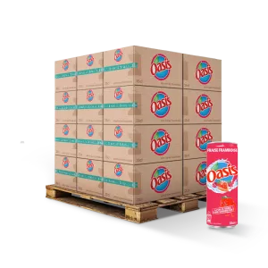 Boisson Goût  Fraise Framboise 33cl Fr X24 Slim - OASIS