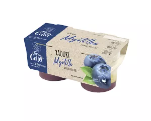 Blueberry Yogurt 2x150g