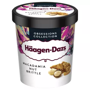 Haagen Dazs Pote Macadômia 400g