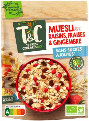 Muesli Aardbei Ging Bio 375g