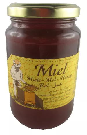 ファーストプライス フラワーハニー 500g - MIEL