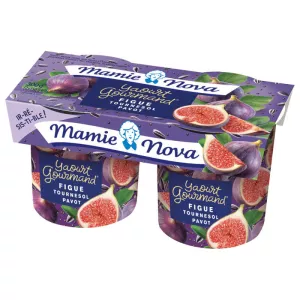 Mn Yrt Gmd Figo Girassol 2x1