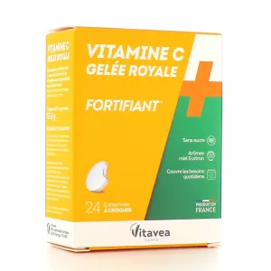 24com Vit C Gel Roy Fort Vitav - VITAVEA