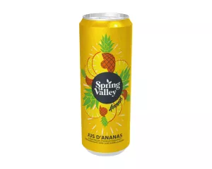 Bte 33cl Jus Ananas S.val