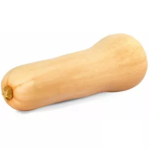 生物胡桃木 - AUTRES MARQUES