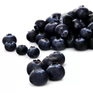 Seau Myrtille 500g