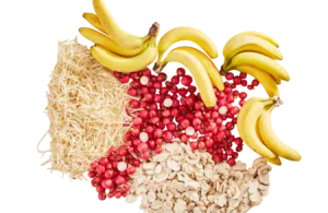 St 200g Haricot Mungo 0 99 - SANS