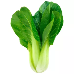 St 2pce Pak Choi Px Rd Hf - SANS