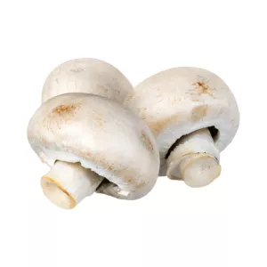 Bq200g Champignon Blc 0 99hf