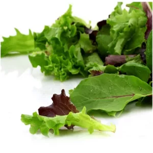 Bq125g Mlg Jne Pousse 1 29