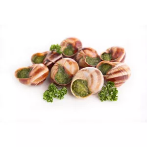 Escargot Bourgog.tres Grosx12