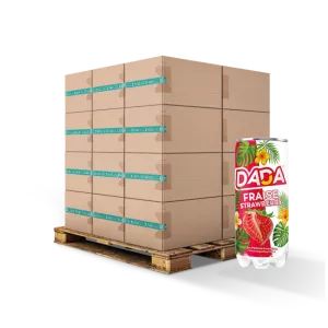 Gaser Water Strawberry 33Cl FR X24 Slim - Dada