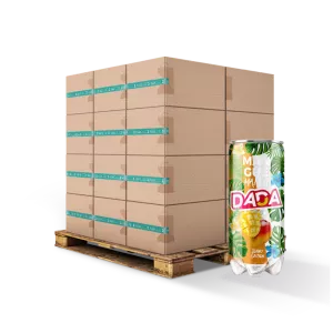 Gaser Water Mango 33Cl FR x24 Slim - Dada