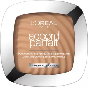 Lor Pdr Cannelle Acc P 9g