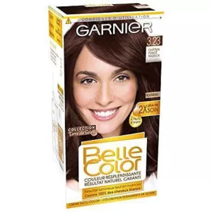 Coloration permanente 3.23 châtain foncé radieux - GARNIER