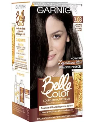 ヘアカラーリング 美しいダークブラウンカラー 3.03 GARNIER