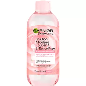 Garnier Micellair 400ml Alles