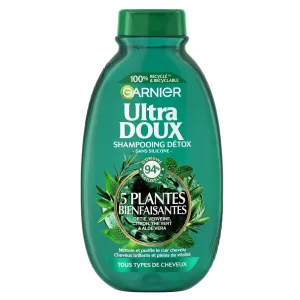 Detox Shampoo All Hair Types 5 Plants, 300ml - GARNIER