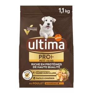 Pienso Seco Para Perros Adultos Con Pollo 1,1kg - Ultima