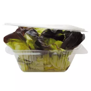 Petite Laitue Rouge 150grs