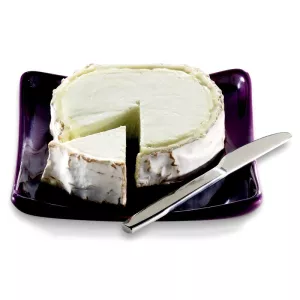 有机山羊奶酪日志 21% 15