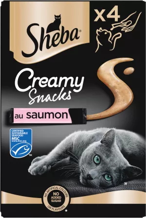 Snack Cremoso Saumone 4x12g