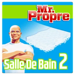 Mr Propre Gomme Sdb X2