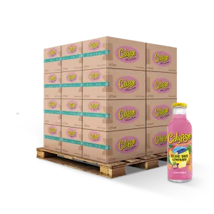 カリプソ アイランド ウェーブ 473ml×12本 - Calypso
