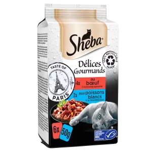 शीबा श्ट एमएससी स्वाद चैट 6x50