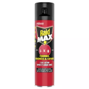 Insetticida Aerosol 2in1 Formiche Ragni E Scarafaggi 400ml - Raid