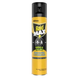 黄蜂和黄蜂气雾剂杀虫剂 300ml - Raid