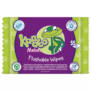Lingettes toilette melon x55 - KANDOO
