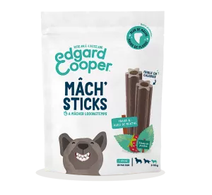 Dental Fraise Menthe S 105g