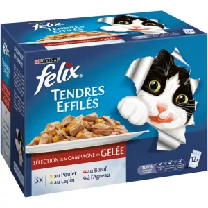 Katzenfutter verschiedene Fleischsorten 12x100g - PURINA