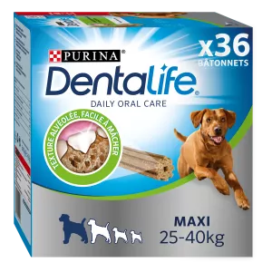 Dentalife Multipack Maxi 1 272