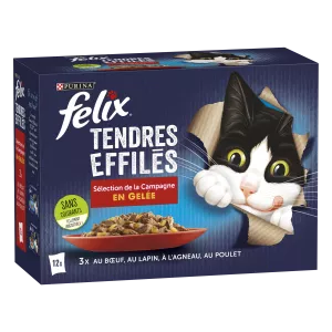 Mashine ya gumzo la watu wazima katika jelly ya tapered na nyama ya ng'ombe, sungura, kondoo na kuku 12x85g - PURINA FELIX