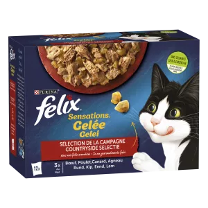 Felix Sensat Gelee Camp 12x85g
