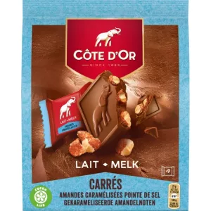 Chocolats amandes caramélisés x9 sachets 180g - CÔTE D'OR