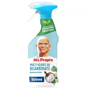 Multi-Purpose Household Cleaner With Eucalyptus Bicarbonate 500ml - Mr Propre