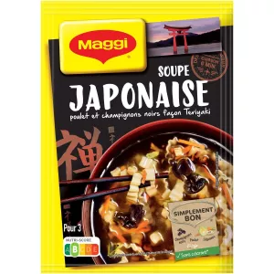 Japanese dehydrated soup 50g - MAGGI
