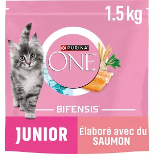 Kroketten für junge Katzen von 1 bis 12 Monaten mit Lachs 1,5 kg - PURINA ONE