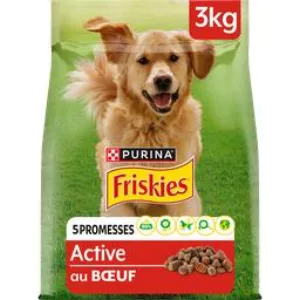 Ralina de cachorro adulto ativo com carne bovina de 3 kg - FRISKIES