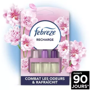 20 мл февраля 3vol Rech Fleur - FEBREZE