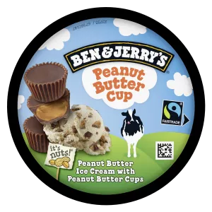 جلايس زبدة الفول السوداني 425 جرام - BEN & JERRY'S