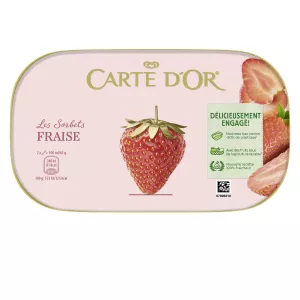 Glace sorbet fraise 585g - CARTE D'OR