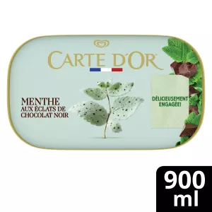 Sorvete de menta 491g - CARTE D'OR