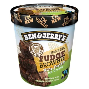 Glace en pot vegan chocolate fudge brownie 395g - BEN & JERRY'S